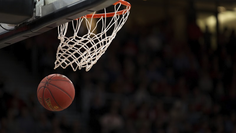 NBA赛场篮球入网瞬间，背景是欢呼的观众